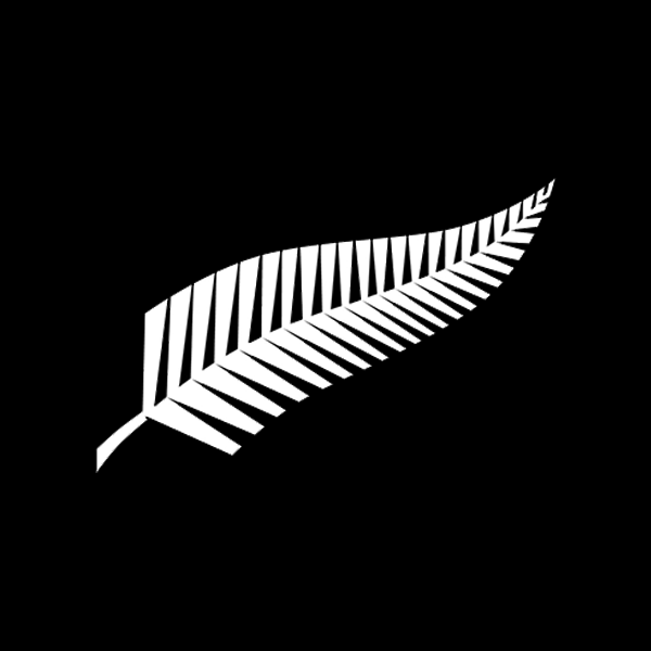 Teams in Black rugby graphic